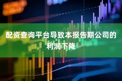 配资查询平台导致本报告期公司的利润下降