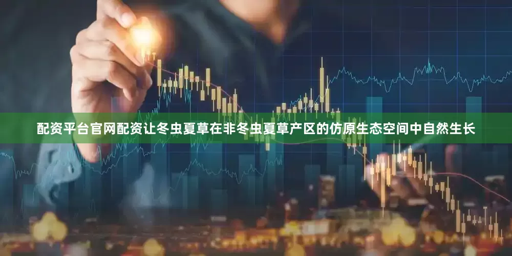 配资平台官网配资让冬虫夏草在非冬虫夏草产区的仿原生态空间中自然生长