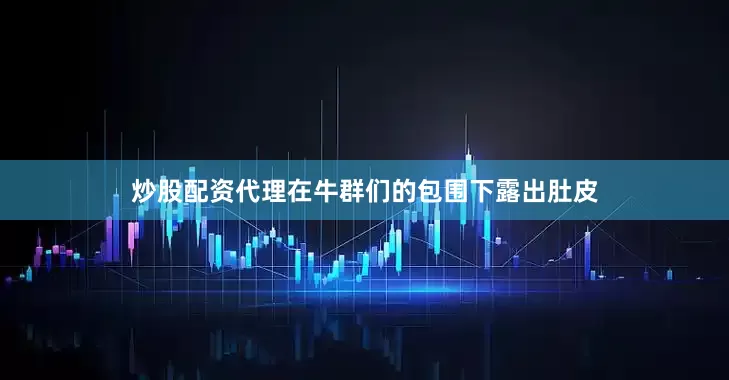 炒股配资代理在牛群们的包围下露出肚皮