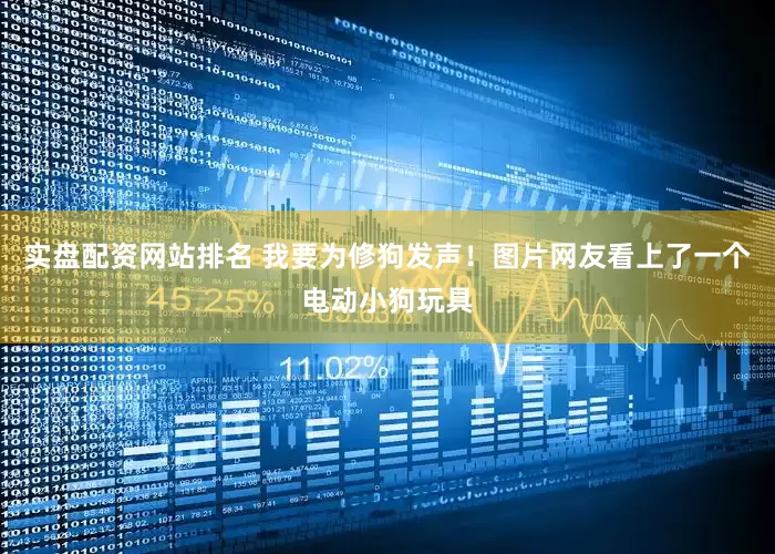 实盘配资网站排名 我要为修狗发声！图片网友看上了一个电动小狗玩具