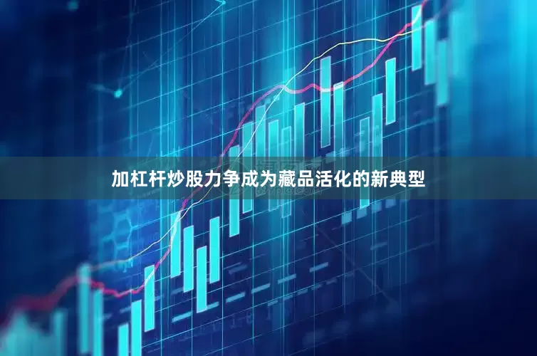 加杠杆炒股力争成为藏品活化的新典型