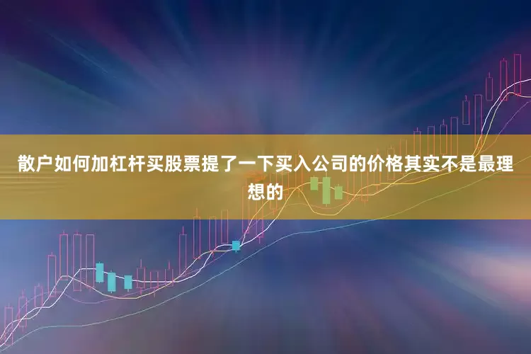 散户如何加杠杆买股票提了一下买入公司的价格其实不是最理想的